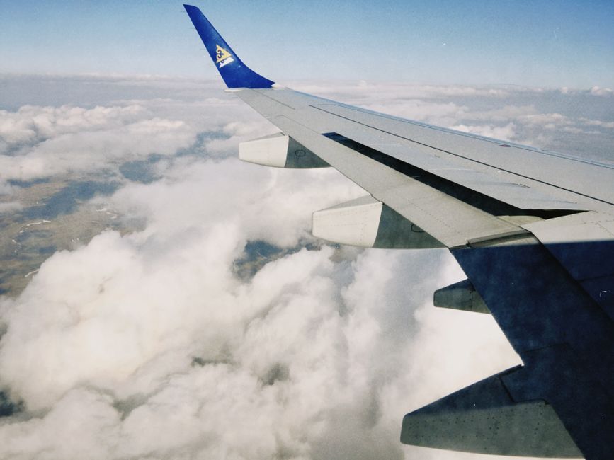 airbus, airplane, jet, flight, airport, airline, transport, travel, airplane, airplane, airplane, airplane, airplane, airport, airport